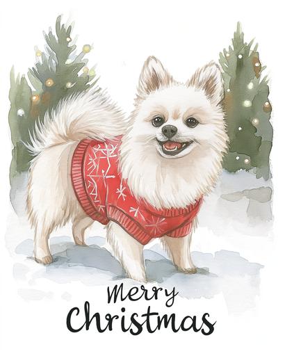 detailed watercolor Christmas card with a happy small white japan spitz wearing a red christmas sweater on it saying 