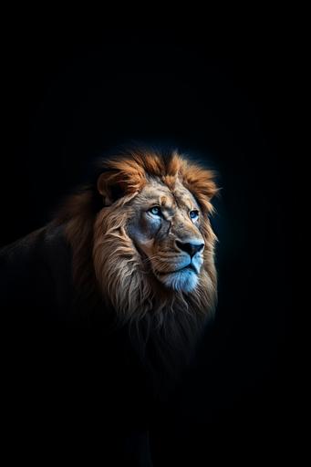 a close up of a majestic lion, blue eyes, side view, dark blackout background, realistic, 8K, --ar 2:3