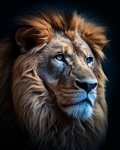 a close up of a majestic lion, blue eyes, side view, dark blackout background, realistic, 8K, --ar 4:5