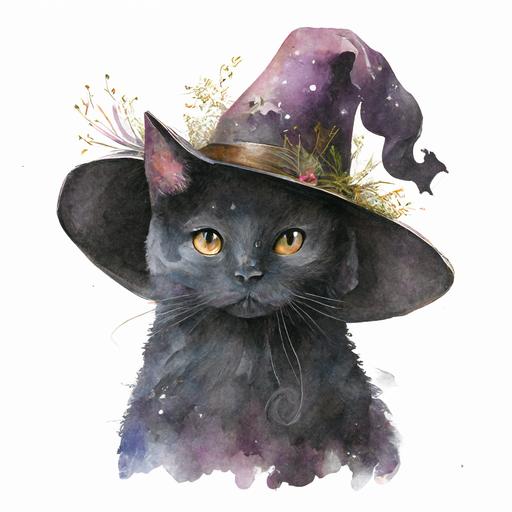 fairytale fantasy clip art witchy black cat with hat realistic watercolor white background