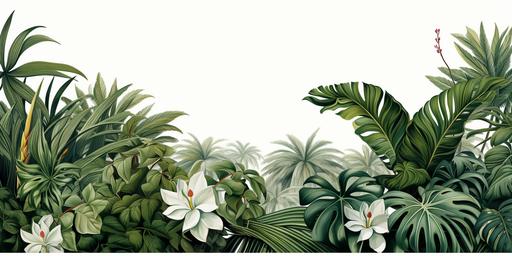 fancy tropical frons of palm trees border name place holders hyper detailed white background --ar 2:1 --s 500