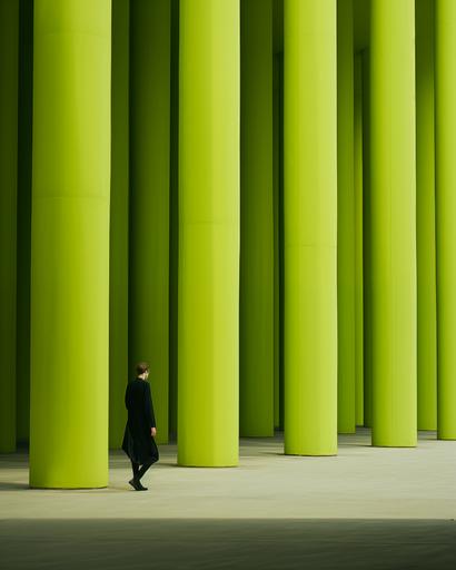 feature wall amphibian chameleon walking passed huge minimalist slimey grand columns, by elsa bleda, minimal male figures running fast in colored suit --ar 4:5 --stylize 150