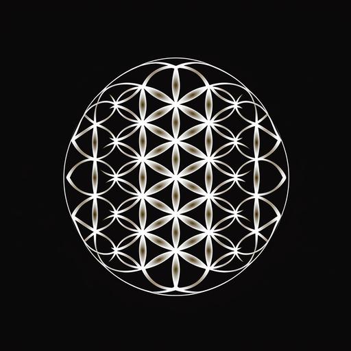 flower of life, metatron’s cube, sacred geometry, logo, black and white, flat, simple, vector art,