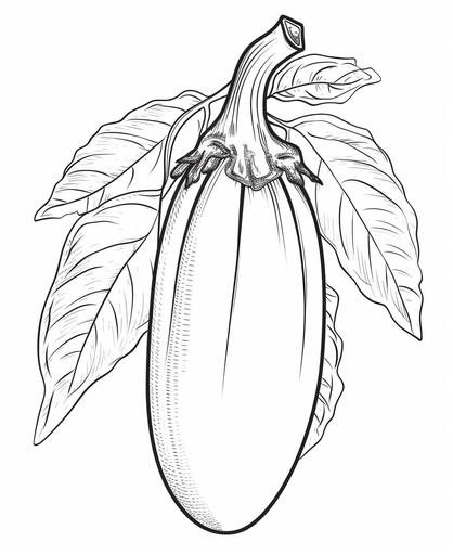 for coloring book with crisp lines, nice realistish eggplant in garten, cartoon style, thick lines, low Detail, Black and white, no shading, --ar 9:11 --v 5