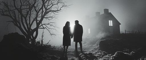 freeze frame of Swedish woman and man in 1960s art house film by Ingmar Bergman, eerie ghost light in the desolate nighttime rural Sweden and intense angst at the silent God --ar 12:5 --c 15