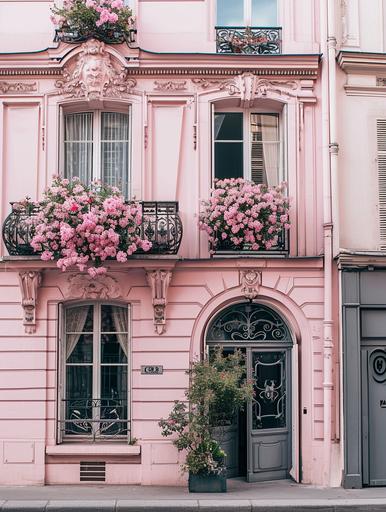 front view of luxurious pink Parisian building, architecture, flowers in the window, minimal composition, editorial, charming, feminine, vogue, --ar 3:4 --v 6.0