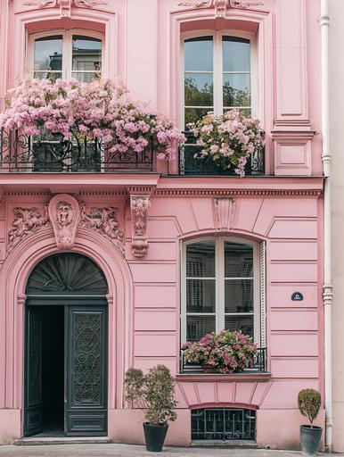 front view of luxurious pink Parisian building, architecture, flowers in the window, minimal composition, editorial, charming, feminine, vogue, --ar 3:4 --v 6.0