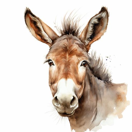 funny donkey looking ahead, face, watercolor, white background