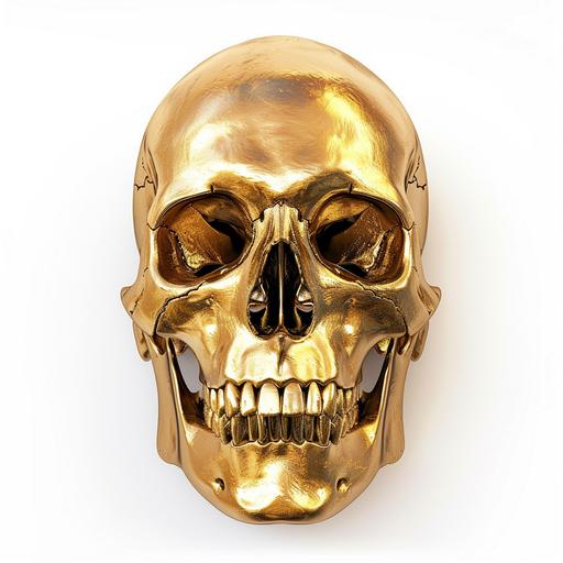 gold metallic real skull looking forward, white background --v 6.0 --s 50 --style raw