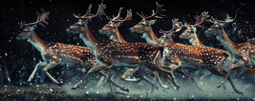 gorgeous beautiful deers running on space, majestic, surrealism, stunning, in black background, dreamcore --ar 5:2 --v 6.0