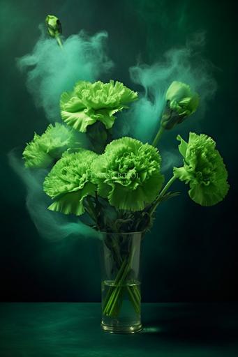green carnations smell like weed --ar 2:3 --s 250