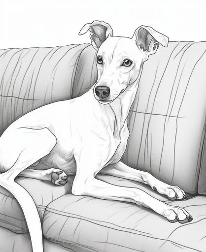 http:// coloring pages for kids, italian greyhound on couch, cartoon style, thick lines, low detail, no shading, --ar 9:11 --v 5