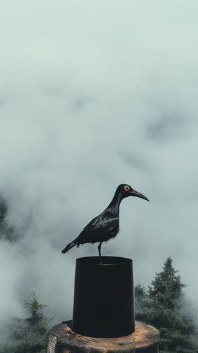 imaginative analogue photography of beautiful landscapes on the planet tandoor, black feathered fantasy animals like long neck cone head ravens, coper planet, fog distance, hdr, evocatice minimalism, poster --ar 9:16 --s 125 --c 20 --w 3