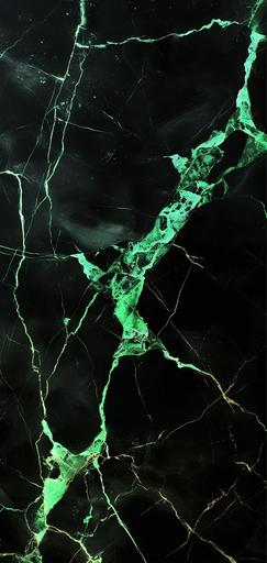 ultra realistic black marble with green luminescent veins --ar 9:19 --v 6.0