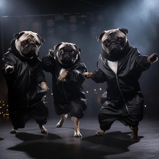 k-pop black pug dog dance superstars