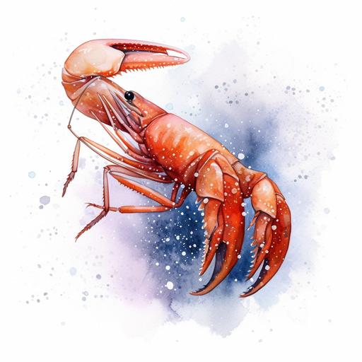 logo shrimp watercolor painting falling snow