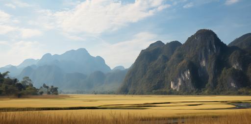 low-high view of hyper realistic photo of tipicals montains and hills in laos, in forground a field of dry grass, lot of variations of montain scale and layers, up to down day light, environments, real atmosphere, hyperrealistic photo, high level of vegetation details, cinematic lighting, hasselblad, --ar 125:62