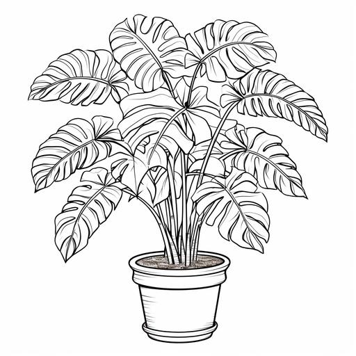 monstera plant in pot coloring page