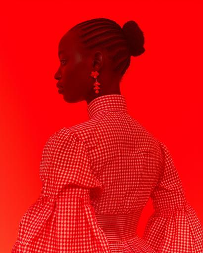 photonegative refractograph red gingham bipoc haute couture --ar 8:10 --v 6.0