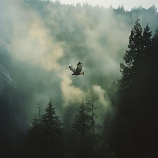reaction shot, tight shot, a bird is flying, a clever hawk is flying above a mountainous forest with a river running through it, past the hawk in the sky is a trail of smoke from a camp site, photograph, portrait, 85mm, --v 6.0 --style raw