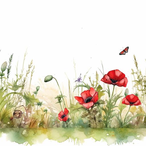 rectangle website header, white background, red poppy's, dragonflies and greenery--HD--Ar