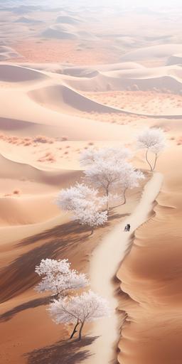 sand dunes day,