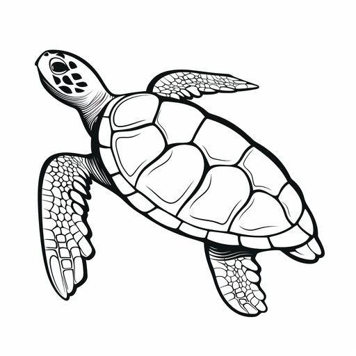 sea turtle stencil from above, just the black outlines with white inner spaces, simple shapes, good for a childrens coloring book