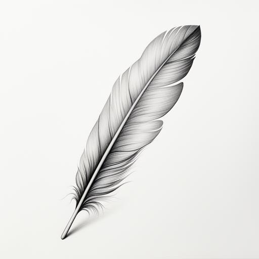 simole feather on whote background, realism, black and gray, smoth tone