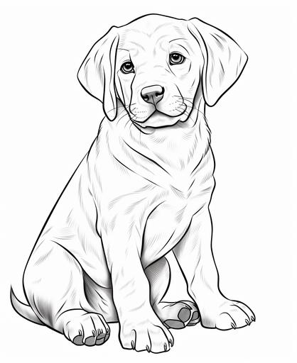 simple, Coloring page for toddler coloring book, Picture should be black and white, Labrador Retriver with computer, must be suitable for coloring book, low amount of details, thick lines, no back ground, --ar 9:11