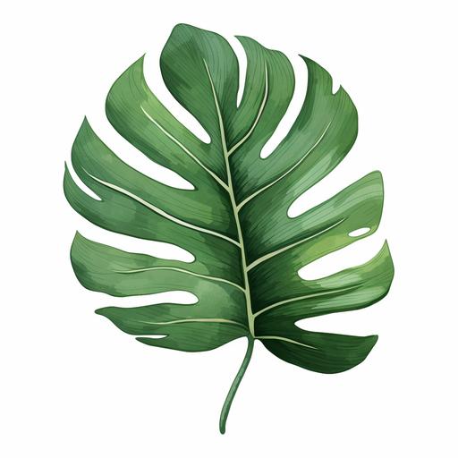 single tropical leaf illustration for wall art decoration
