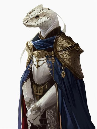 this as a male snake dungeons and dragons character, royal luxury medieval clothes, white snake head, pale white skin, 2d, sketch, digital drawing --ar 3:4 --v 6.0
