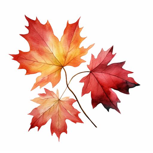 watercolor large vine leaf autumnal clipart white background