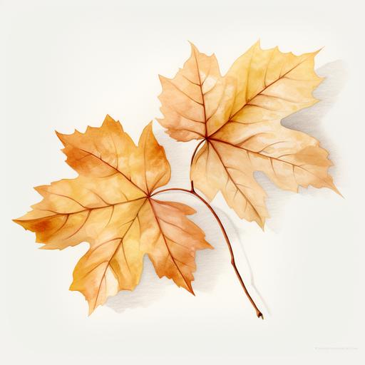watercolor large vine leaf autumnal white background